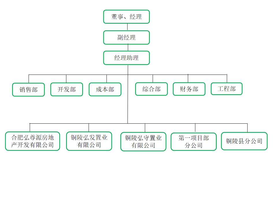 20241029公司组织架构图.jpg